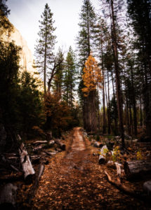 Path of purpose